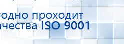 Электроды Скэнар -  двойной овал 55х90 мм купить в Ишимбае, Электроды Скэнар купить в Ишимбае, Нейродэнс ПКМ официальный сайт - denasdevice.ru